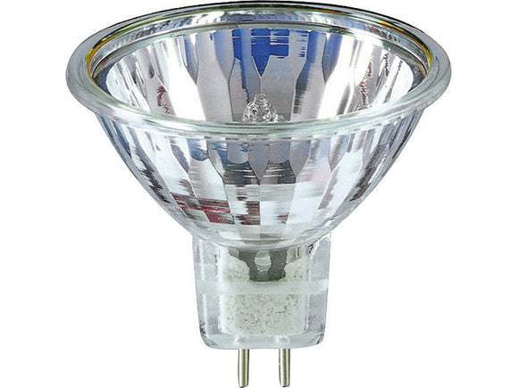 HALOGEN BULBS